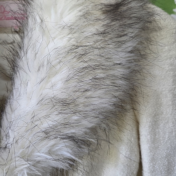 Coat Dress with Faux Fur Trim - Picture 12 of 13